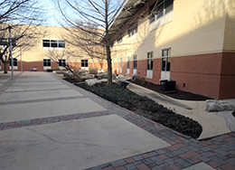  Courtyard area with pavement, trees, and grasses